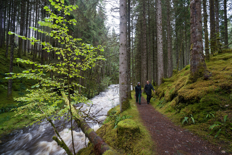 <p>Společnost Shell v Evropě představuje portfolio maziv s neutrální uhlíkovou stopou</p> | AutoMax Group