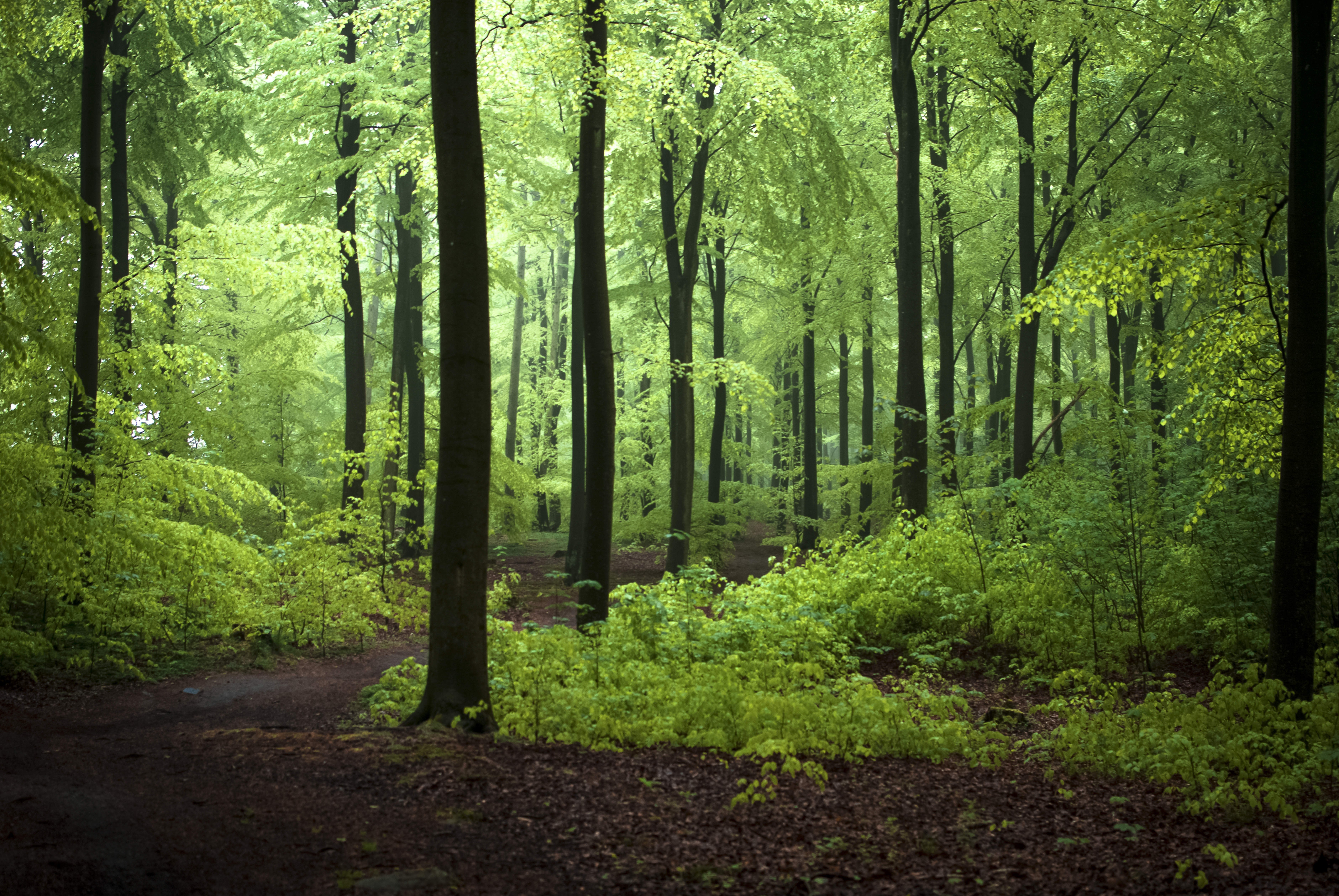 <p>Shell Naturelle – šetrný k životnímu prostředí</p> | AutoMax Group